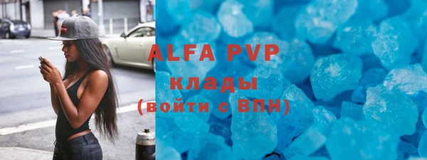 прущие грибы Балабаново