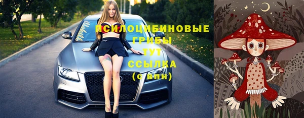 прущие грибы Балабаново