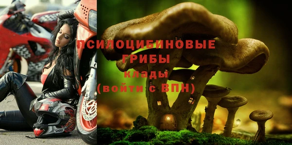 прущие грибы Балабаново