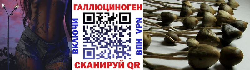 Псилоцибиновые грибы прущие грибы  Кстово 