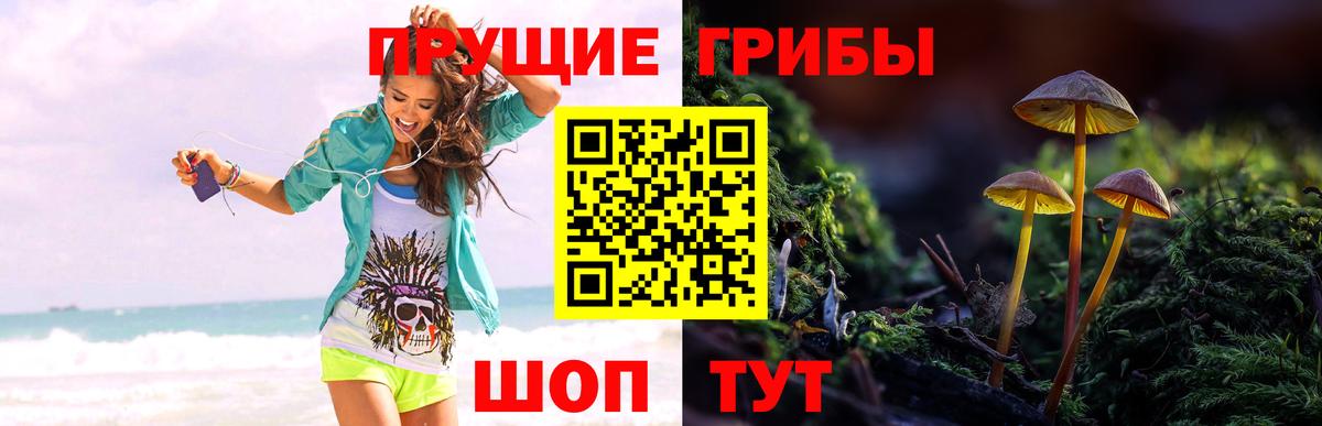 Галлюциногенные грибы мицелий  Вход с VPN  Кстово  Галлюциногенные грибы мухоморы 